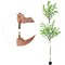 6ft Artificial Enkianthus Tree, Realistic Green Foliage Potted Plant for Indoor Decor